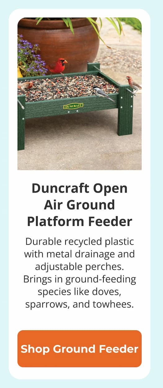 Duncraft Open Air Ground Platform Feeder