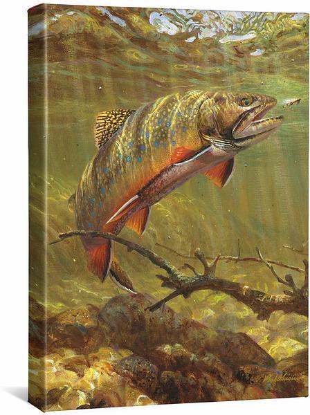 Image of Brook Trout & Royal Coachman