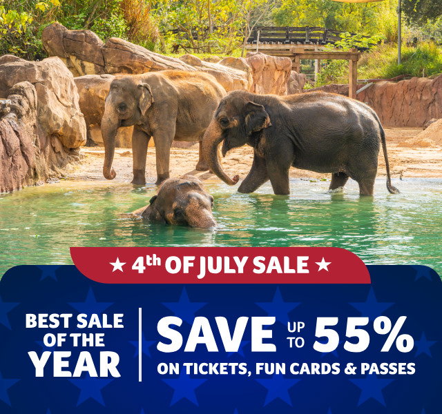 4th of July Sale: Best Sale of the Year. Save up to 55% off Tickets, fun Cards and Passes. Busch Gardens Tampa Bay.