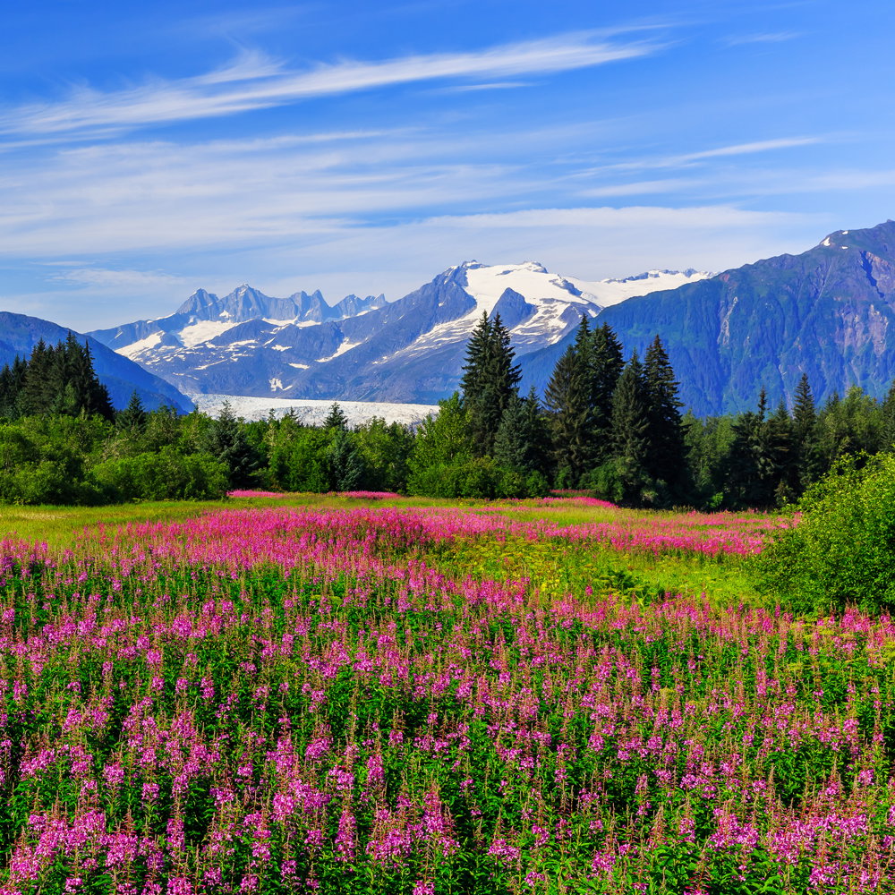 Juneau