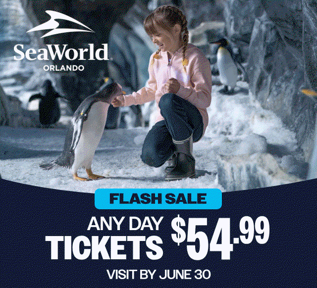 Plan Your Visit