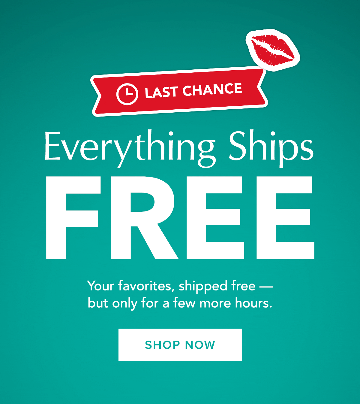 Free Shipping - Shop Now