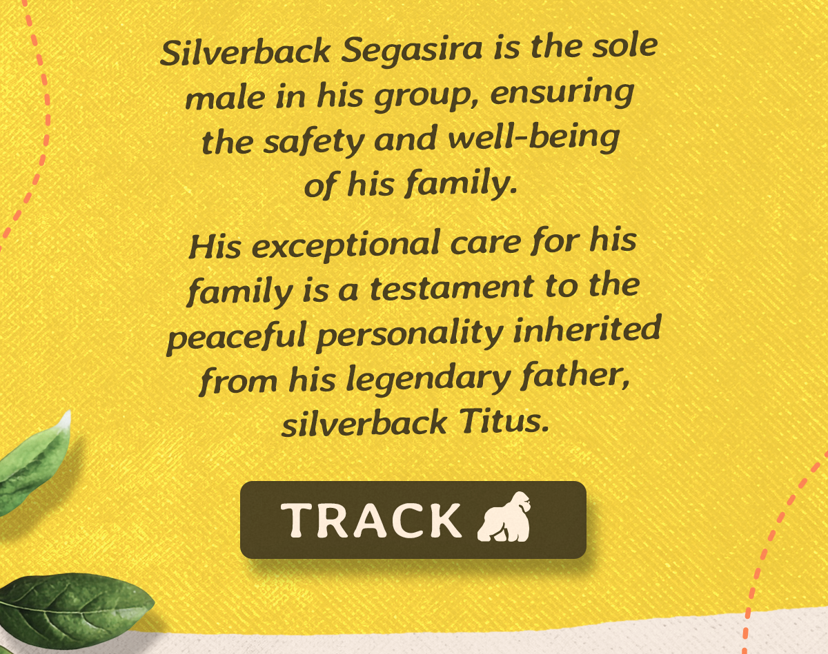 Segasira is more than a gorilla, he is a devoted protector whose exceptional care for his family carries on the legacy of silverback Titus. Track him on the Fahlo app before he leaves the site.