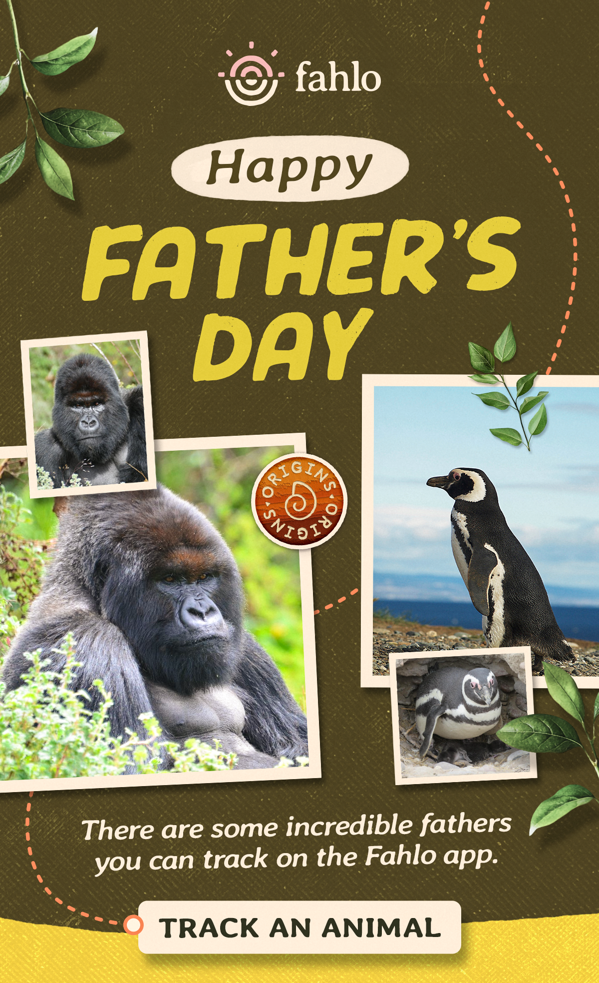 Happy Father's Day from Fahlo, where incredible animal fathers like Segasira and Endeavor can be tracked right from your phone. Download the Fahlo app and start following their journeys today.