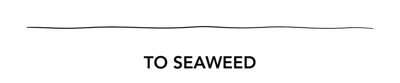 TO SEAWEED