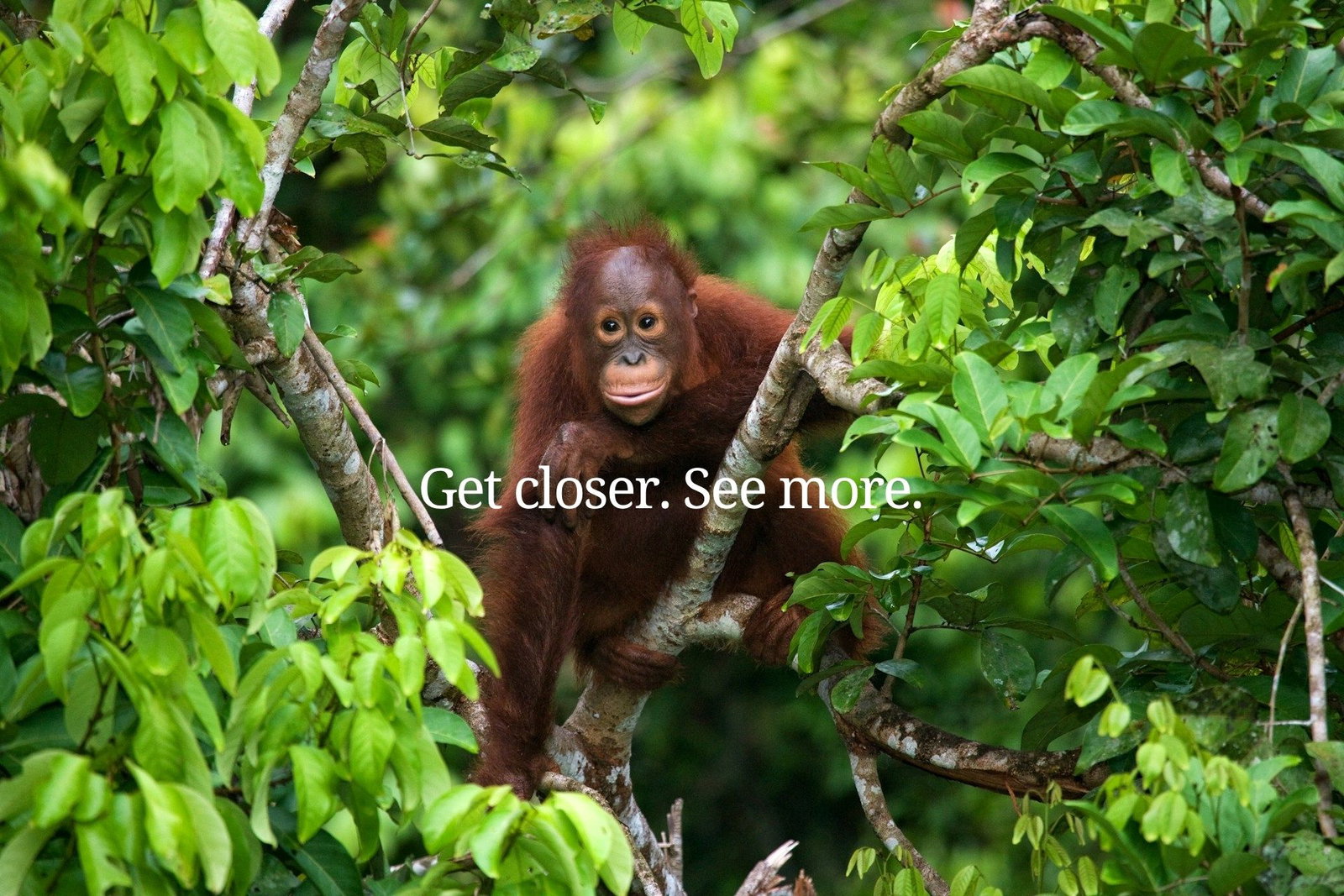 Small Group Tours