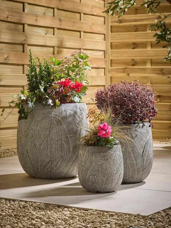 Three Fern Planters - Pale Slate