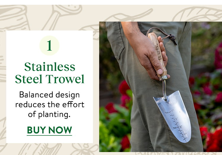 Burpee Stainless Steel Trowel