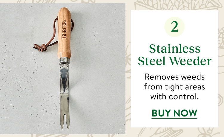 Stainless Steel Weeder