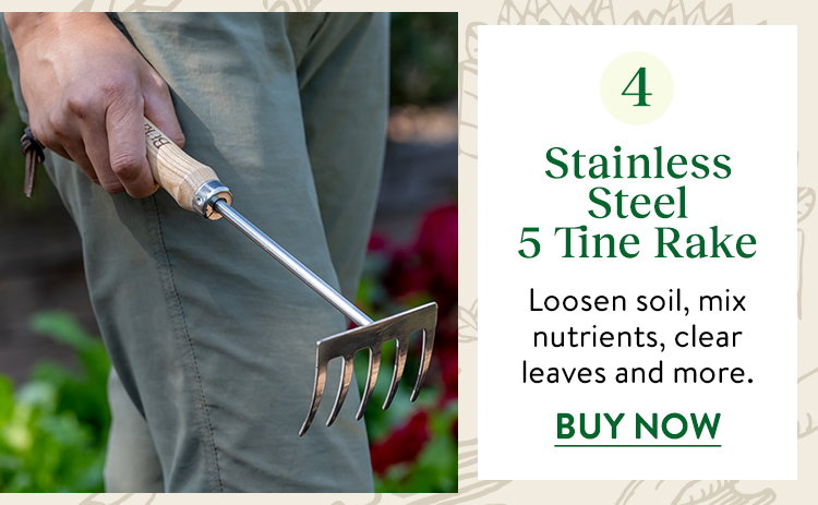 Burpee Stainless Steel 5 Tine Rake