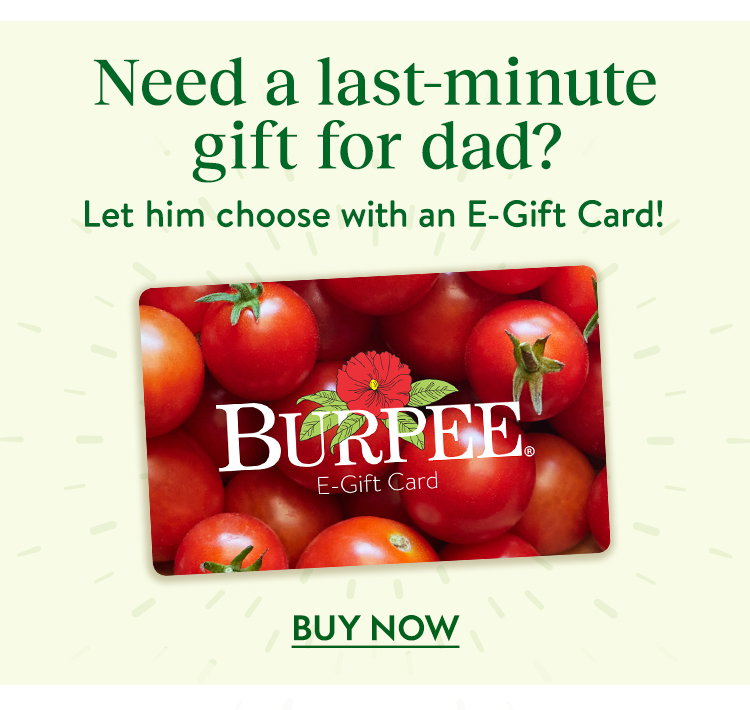 Burpee E-Gift Card