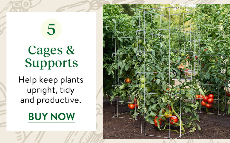 Cages & Supports