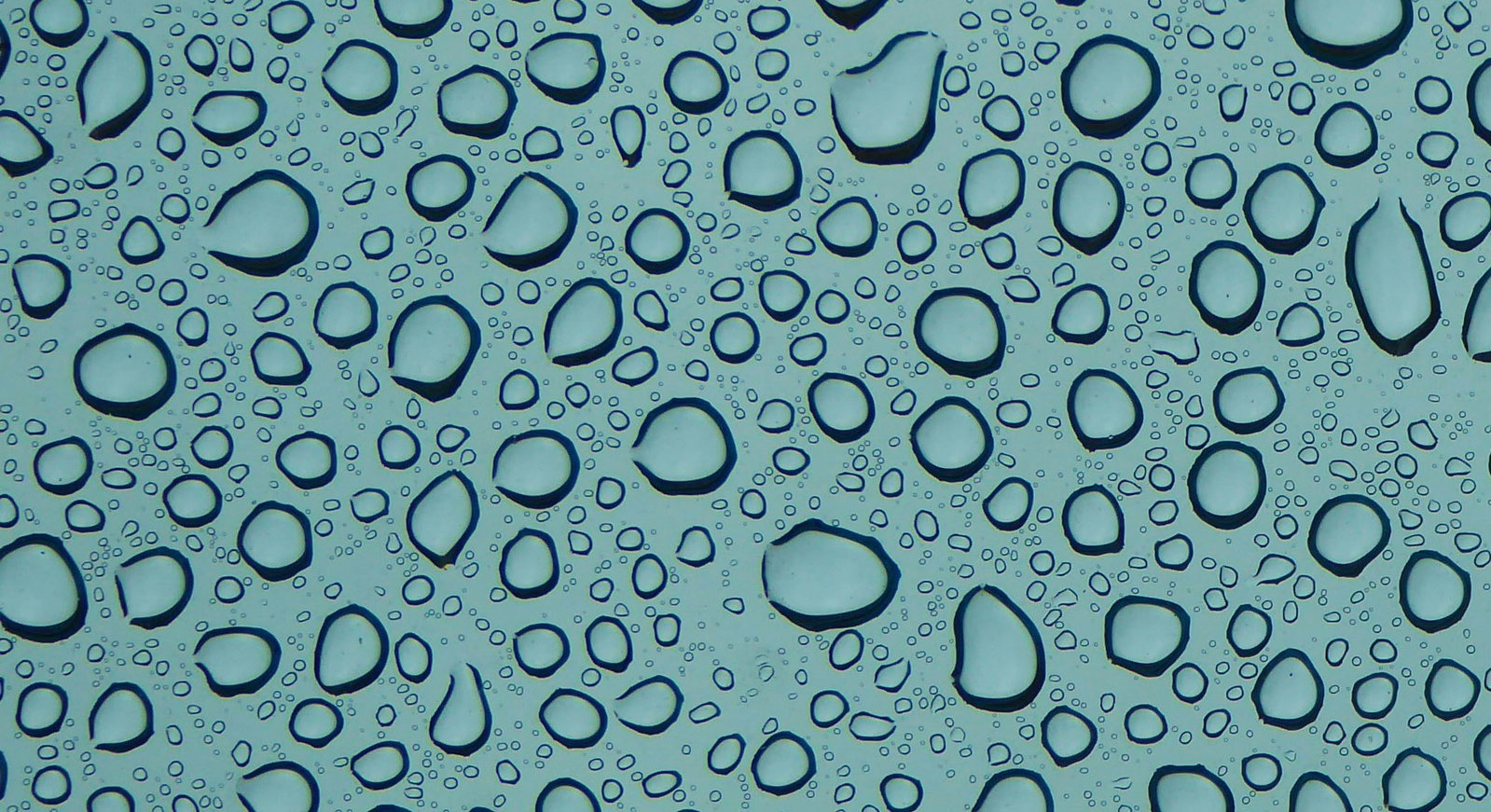 Spirulina Chlorella
