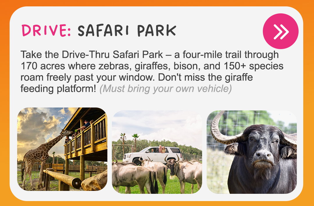 Safari Park 