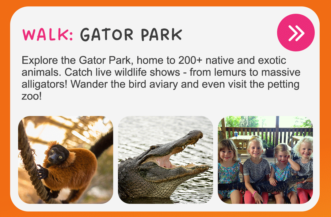 Gator Park 