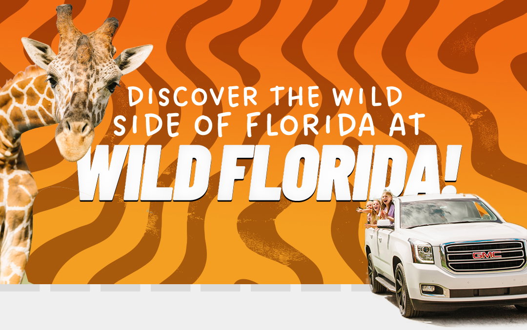 Discover the wild side of Florida at Wild Florida Adventure Park!
