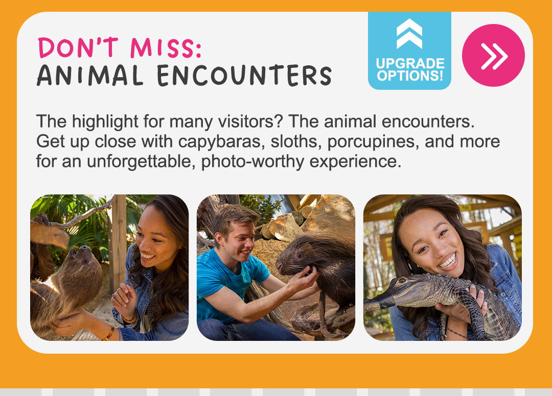 Animal Encounters 