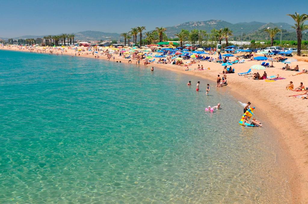 Crowded sandy beach with clear turquoise water, colourful umbrellas, sunbathers and palm trees against distant hills