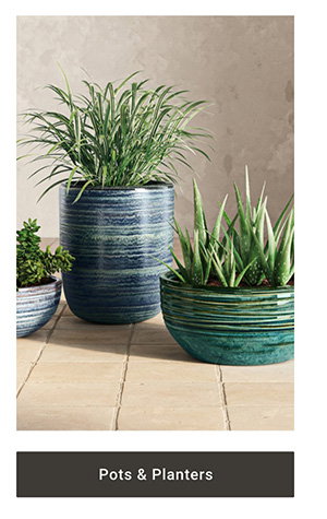 Pots & Planters