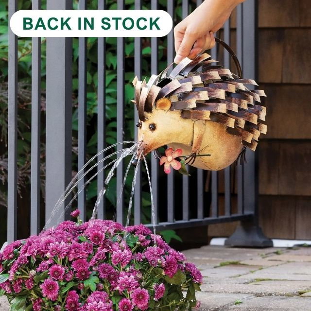 Harold The Hedgehog Watering Can