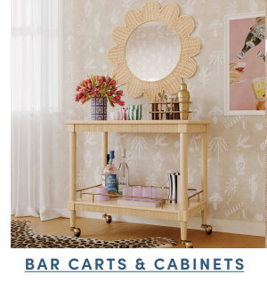 Shop Bar Carts and Cabinets