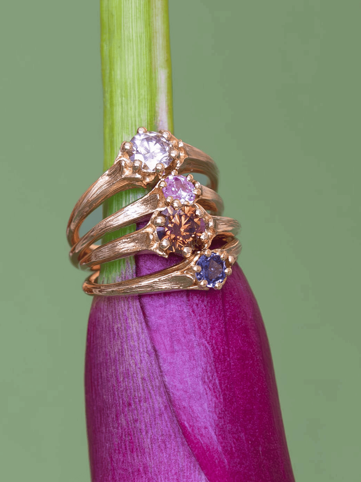 New Limited edition Coronet Rings stacked on the stem of a flower.