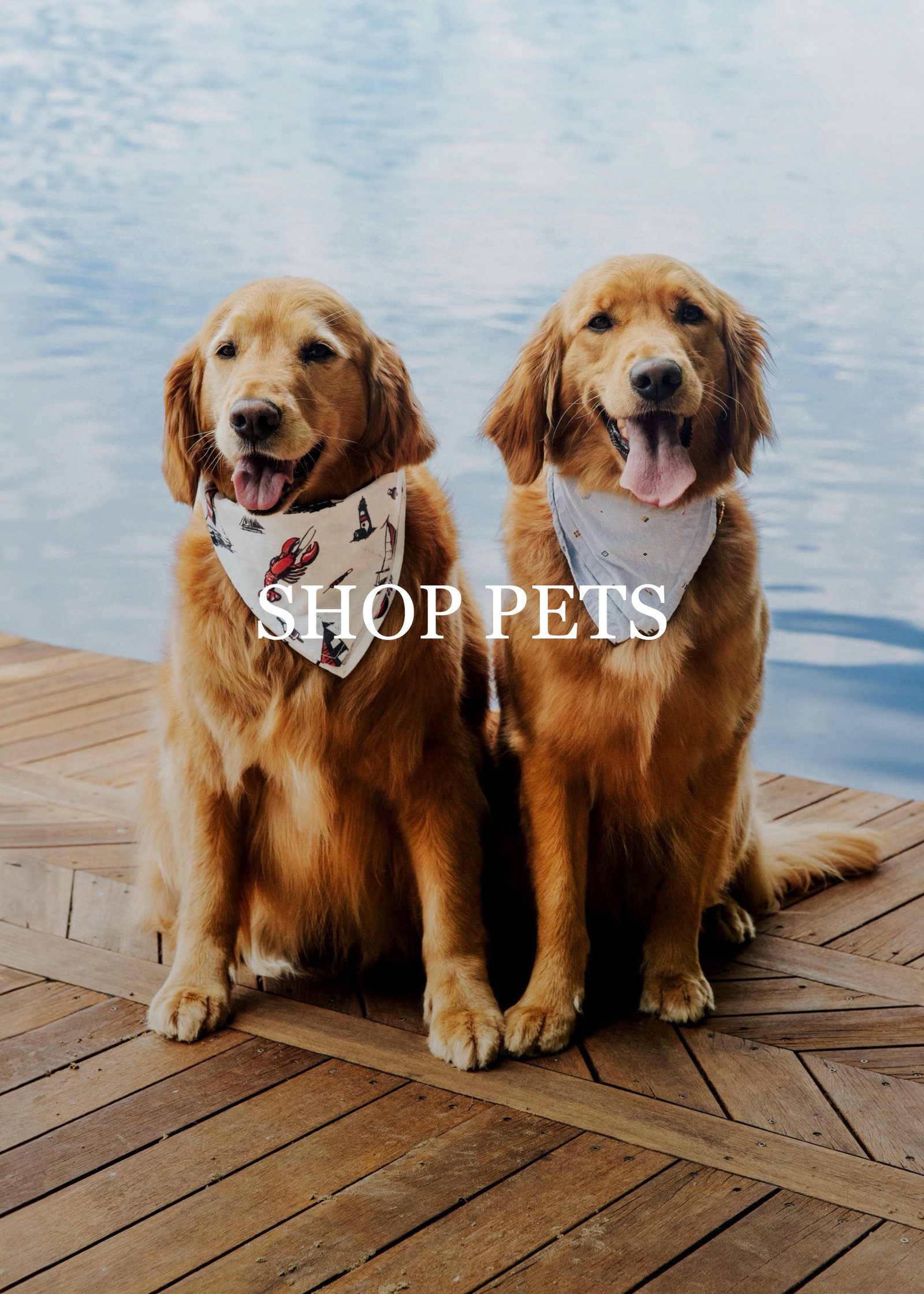 Shop Pets