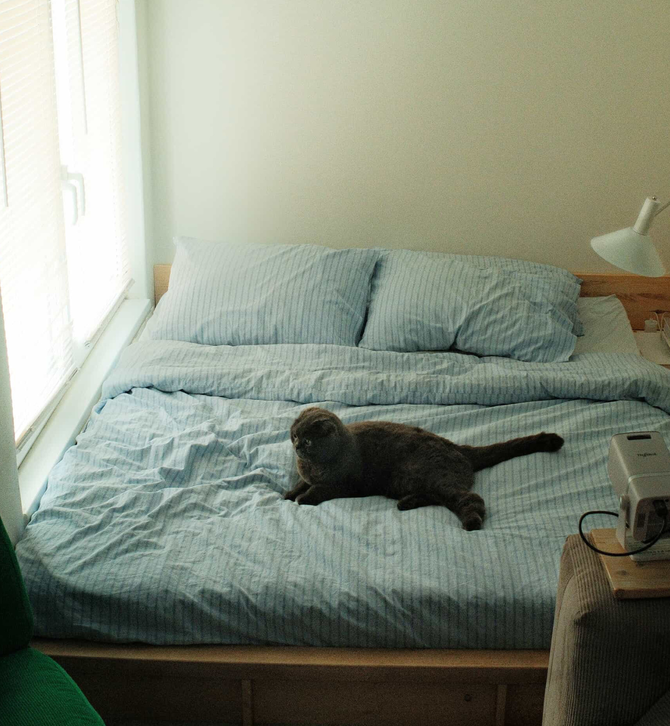 Pale Blue Favourite Shirt Stripe Cotton Duvet Cover