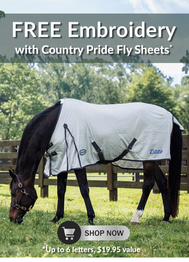 Saddle up sale - 10% off in-cart