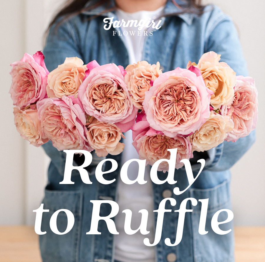 Farmgirl Flowers campaign image showing a person in denim holding a bundle of pink, blush, peach, and cream garden roses. White text reads “ Ready to Ruffled” with the Farmgirl Flowers logo near the top.