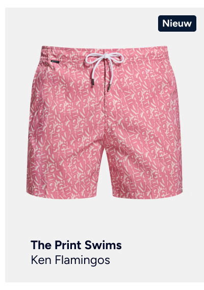 Ken Flamingos - The Print Swims