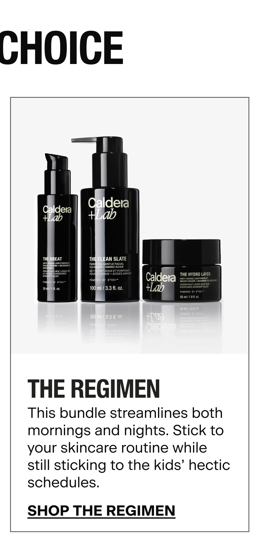 THE REGIMEN