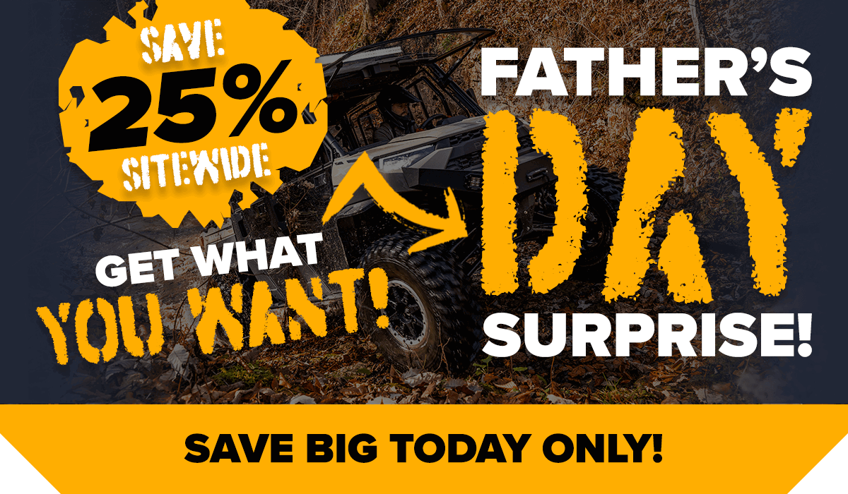 Save BIG today only! Save 25% Sitewide - Father's Day Surprise!