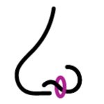 Nose