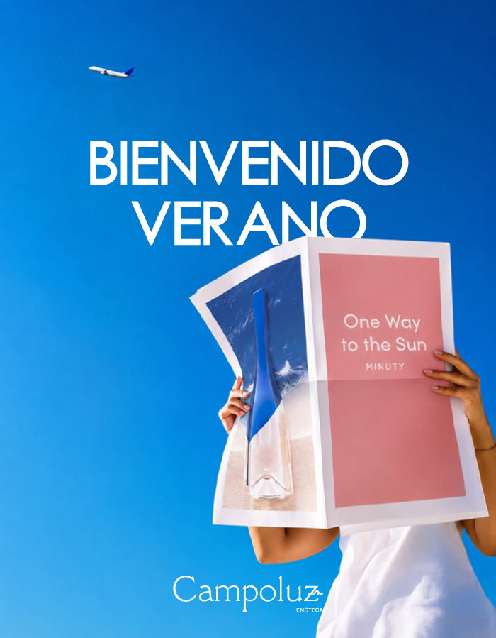 Bright blue sky with a small airplane and a person holding a pink 'One Way to the Sun' poster under large 'Bienvenido Verano' text