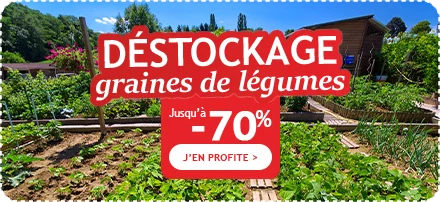 Déstockage jusqu'à -70% graines de légumes