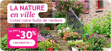 La nature en ville