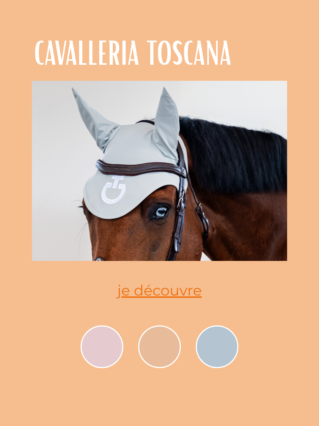 NOUVEAUTÉS CAVALLERIA TOSCANA