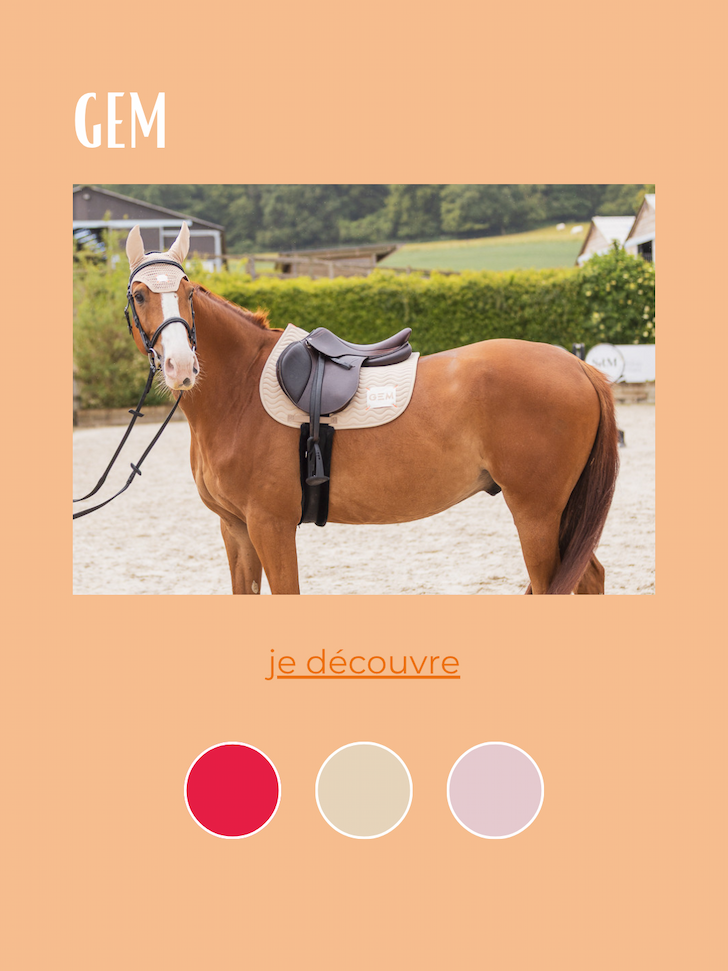 NOUVEAUTÉS GEM
