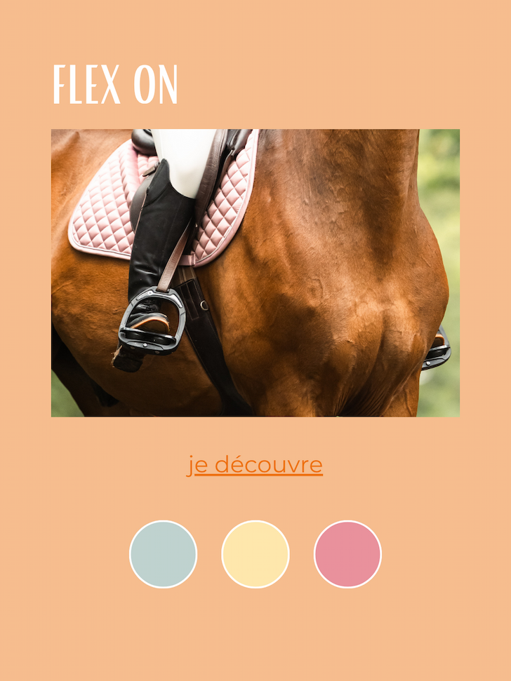 NOUVEAUTÉS FLEX ON 