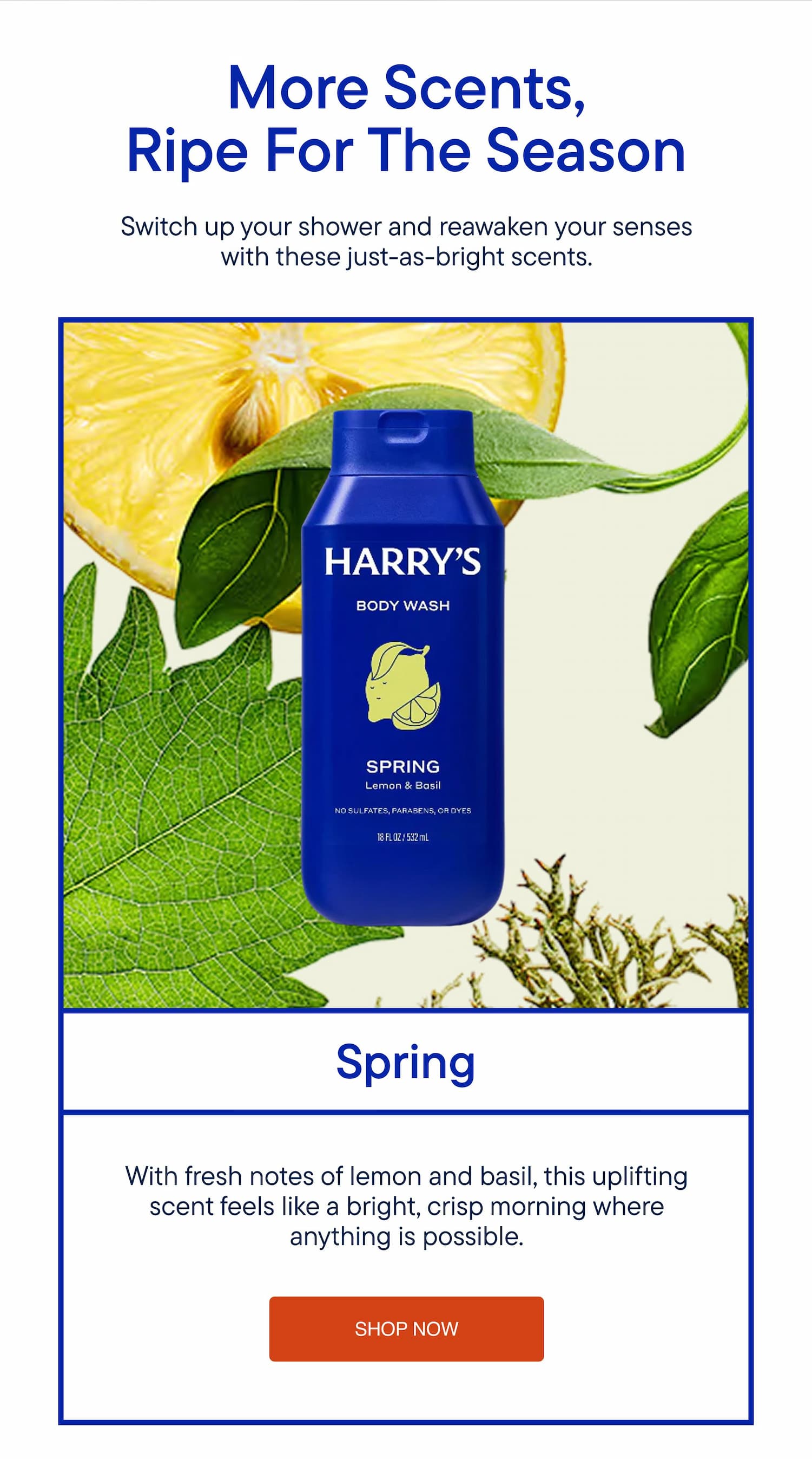 Harry's Spring Body Wash