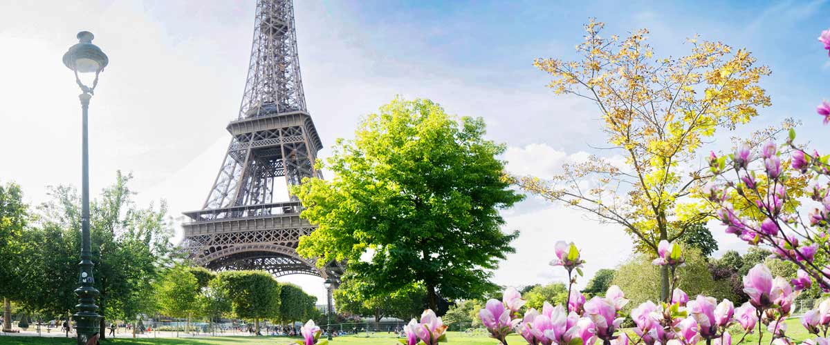 Sensations of Lyon and Provence & Nice