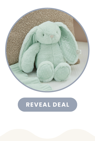 Personalised Mint Choc Chip Bunny Soft Toy
