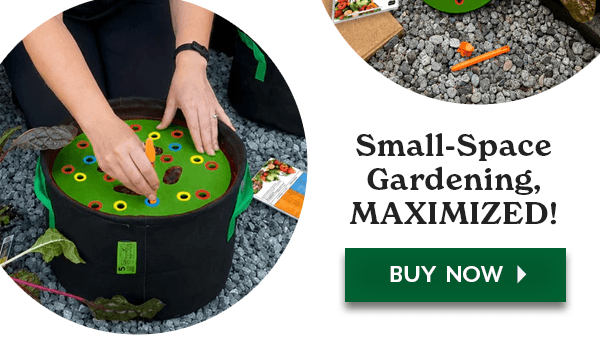 NEW! SEEDING CIRCLE