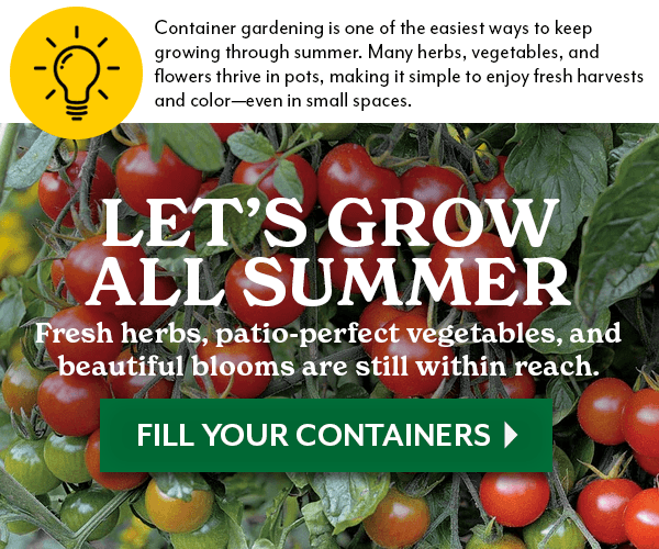 Let's Grow ALL Summer