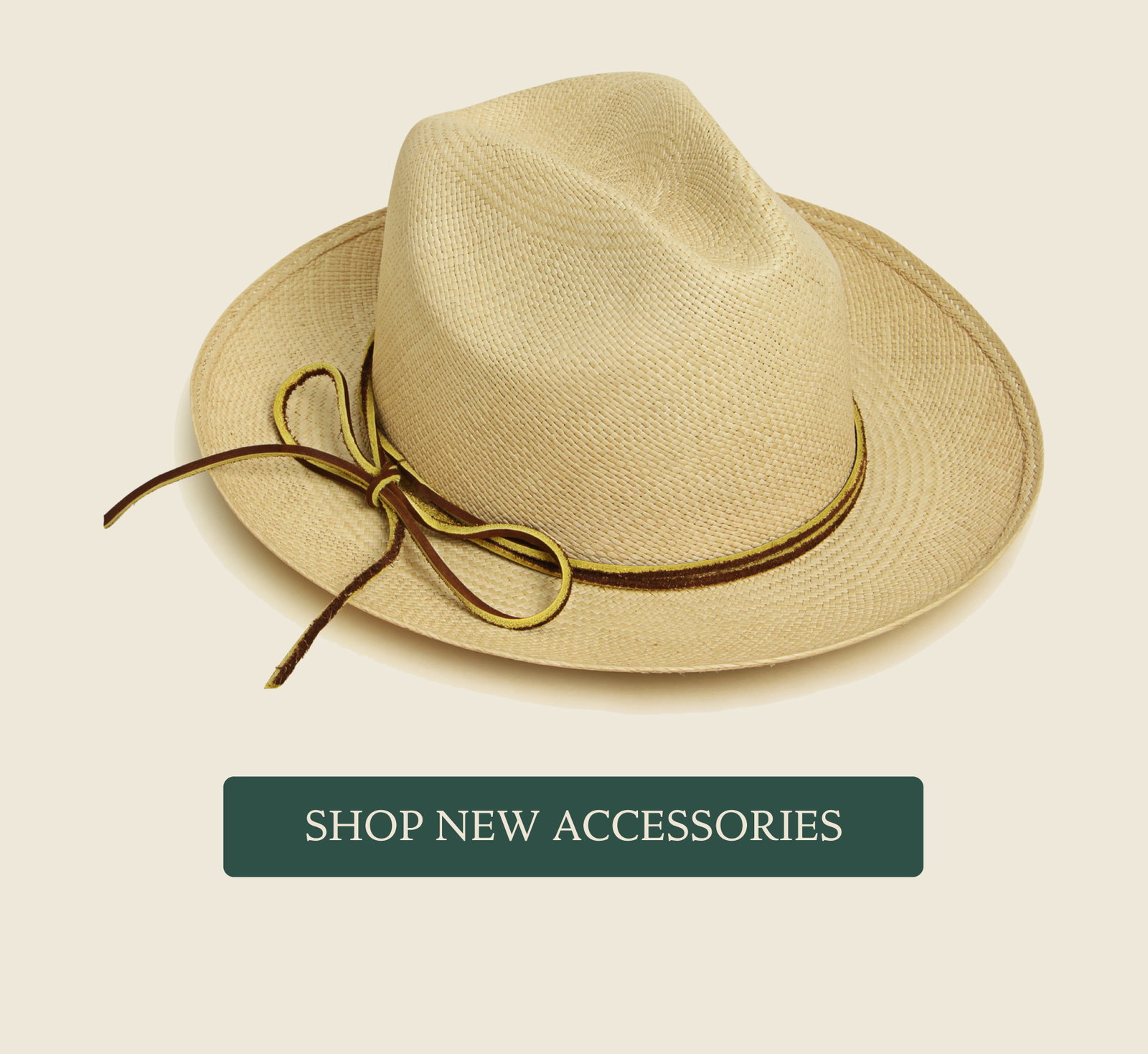Shop New Accessories