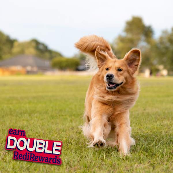 Find Your Routes Pet