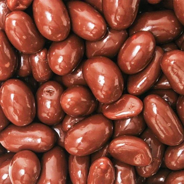 Image of No Sugar Added Milk Chocolate Covered Peanuts - 8 oz Bag