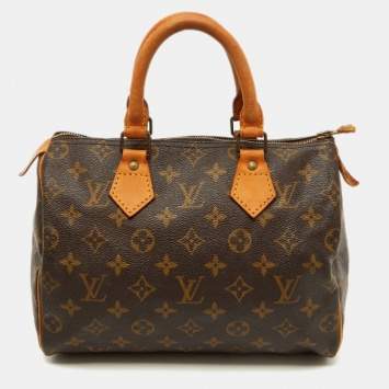 Speedy 25 Monogram Canvas Bag