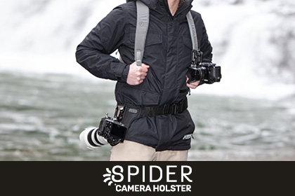 Spider - IF 2026 - LDN